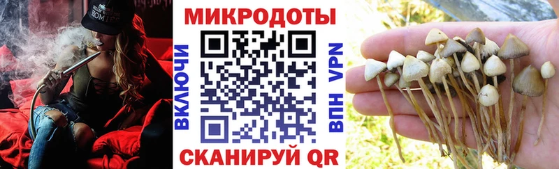 Псилоцибиновые грибы Magic Shrooms  наркота  Арсеньев 