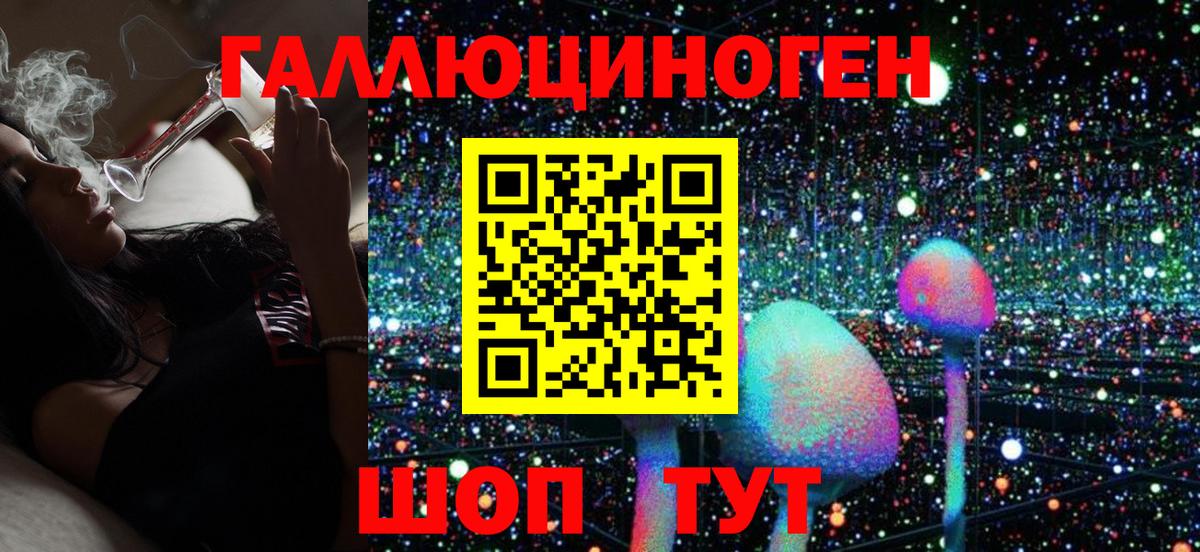 Галлюциногенные грибы Psilocybine cubensis Арсеньев
