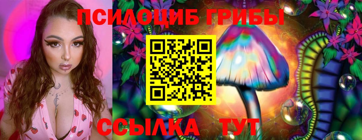 Галлюциногенные грибы Magic Shrooms  Вход с VPN  Псилоцибиновые грибы Psilocybe  Арсеньев 